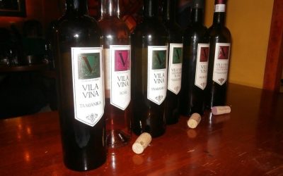 Afterparty nakon November Wine Fest-a